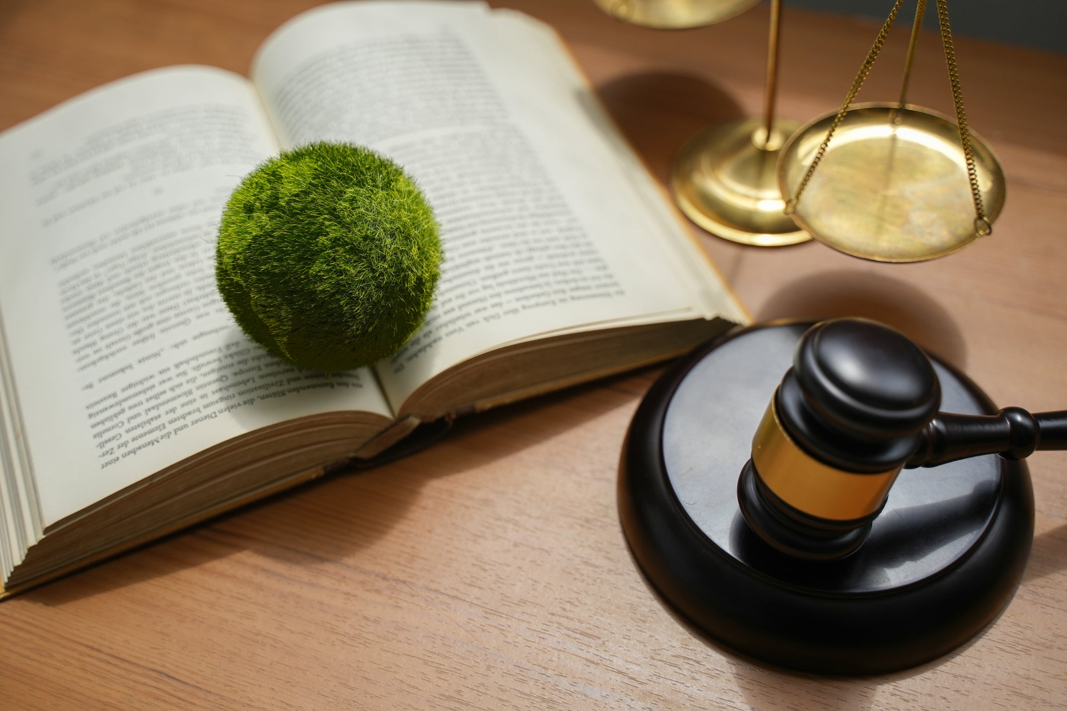 EU Commission bypassed transparency rules for sustainability legislation