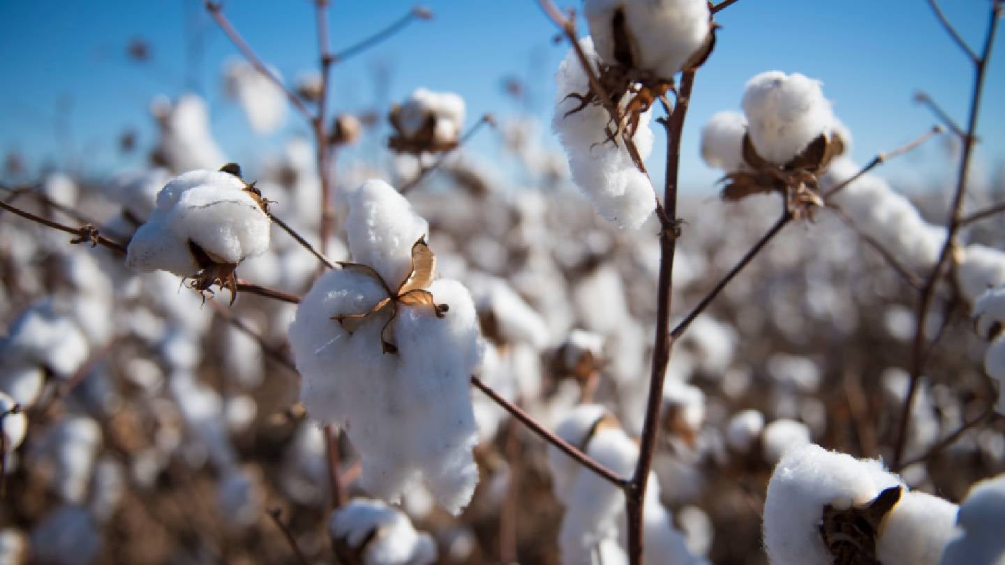 NCC-led coalition urges House support to back Buying American Cotton Act