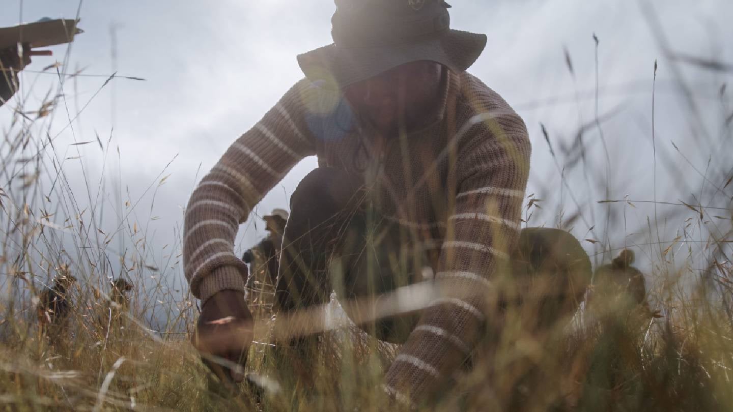 Bestseller pledges $3m to support regen agriculture in South Africa