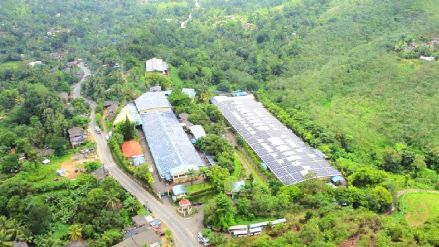 MCAP backs 1.6m metric tons CO2e reduction, Cascale report finds