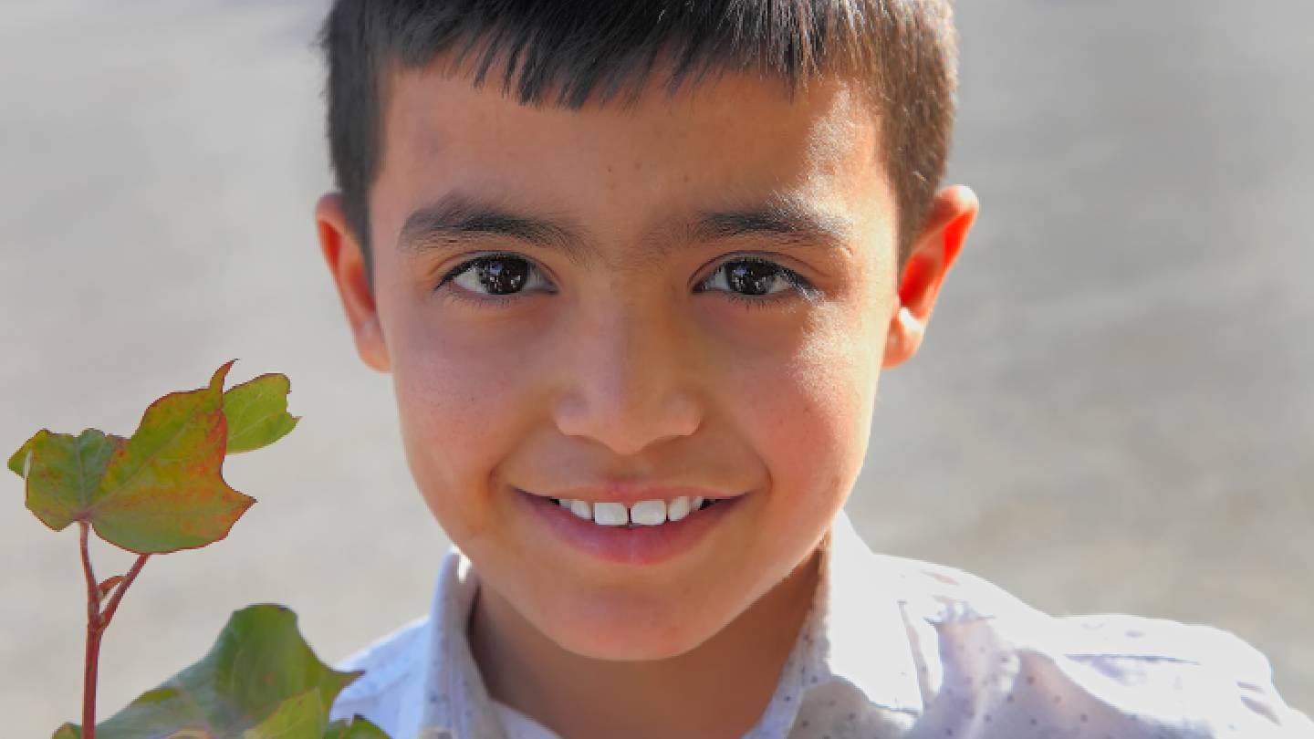 Turkmenistan reverses forced labour reductions in cotton harvest
