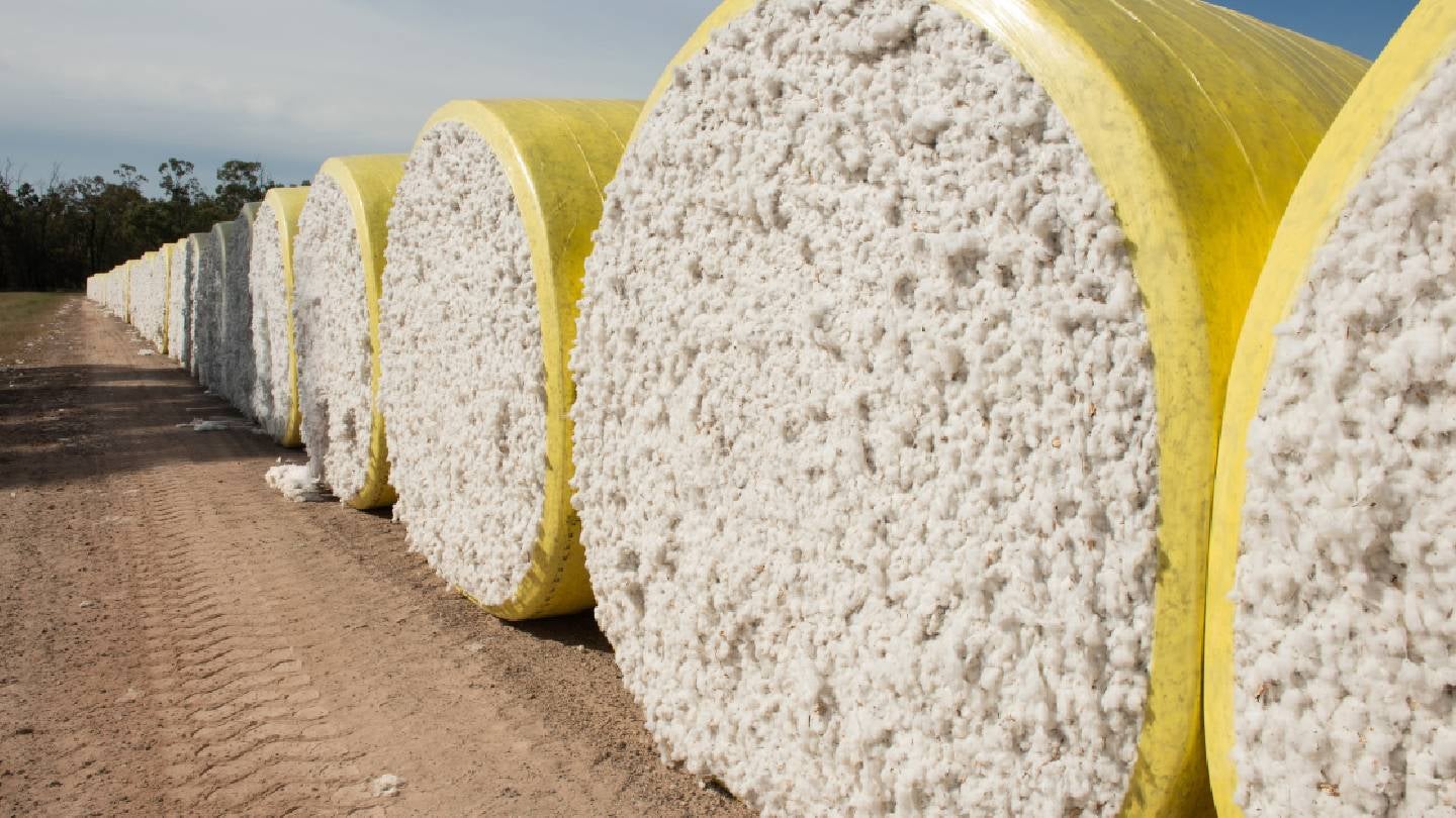 World cotton trade to reach 10.3m tonnes by 2028/29