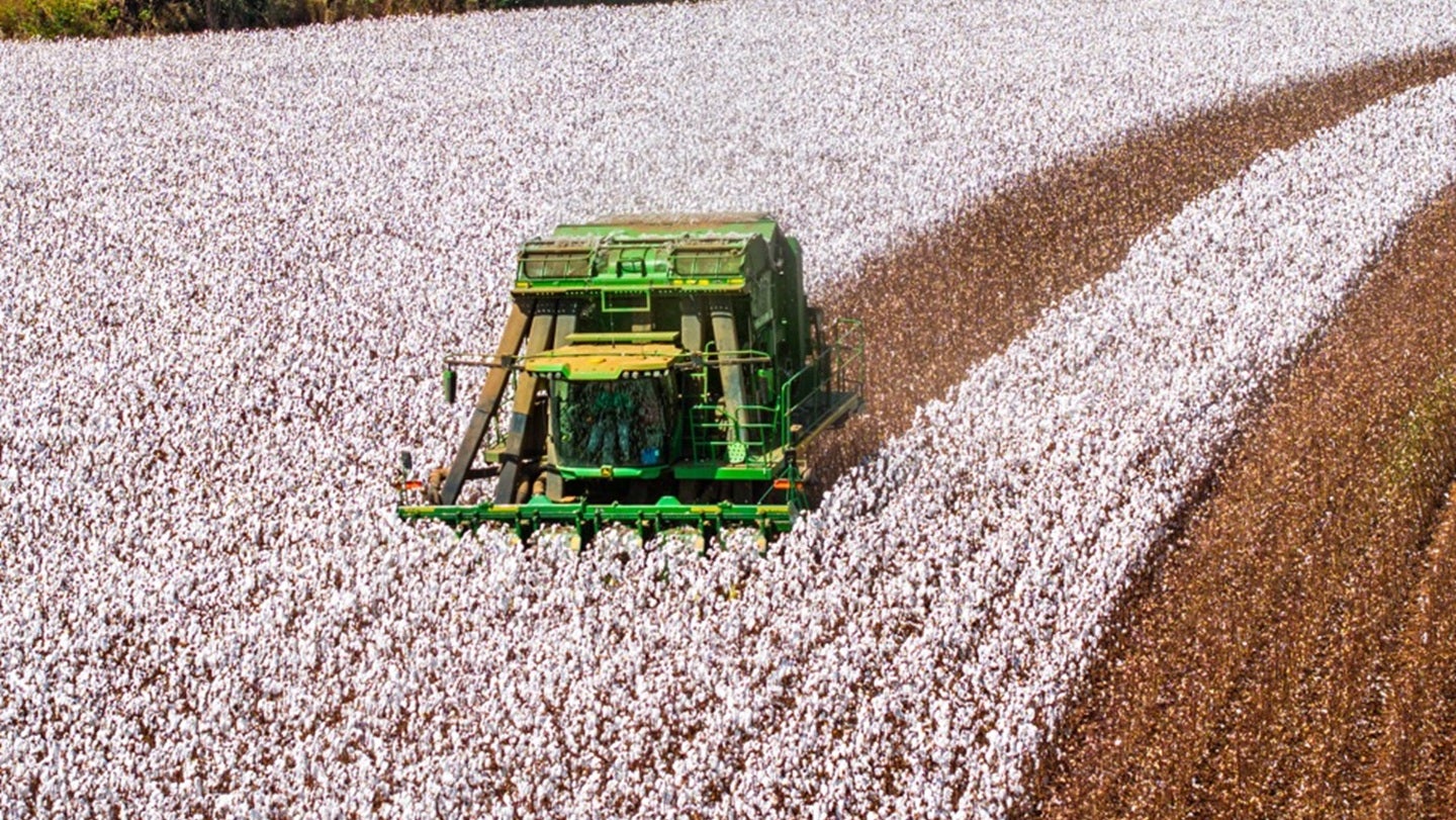 Brazil claims top cotton exporter spot over US with record revenue